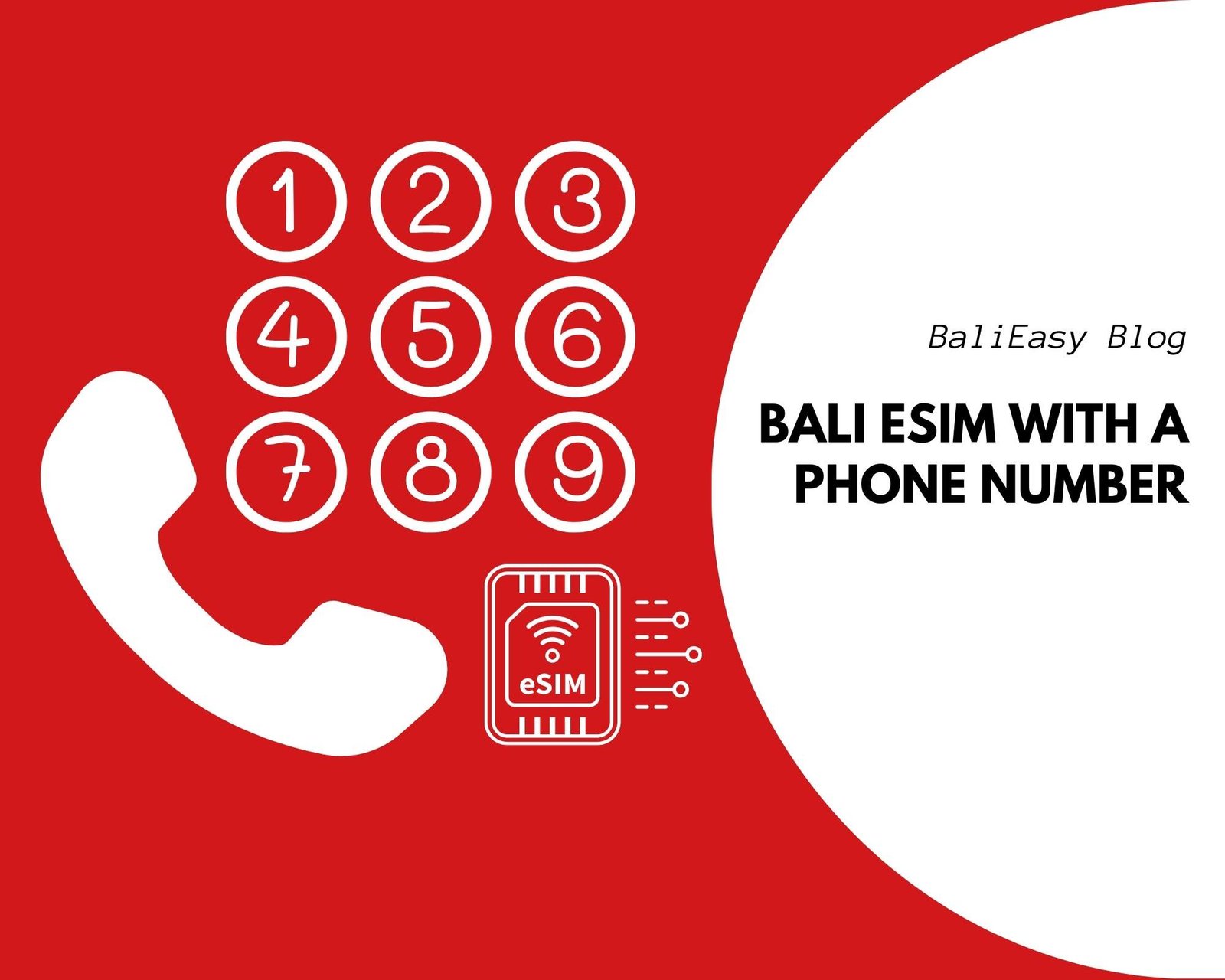 Bali eSIM with phone number