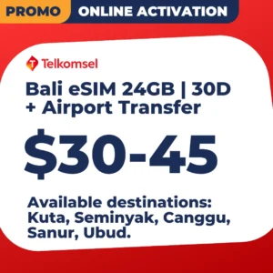 Bali eSIM + Airport Transfer