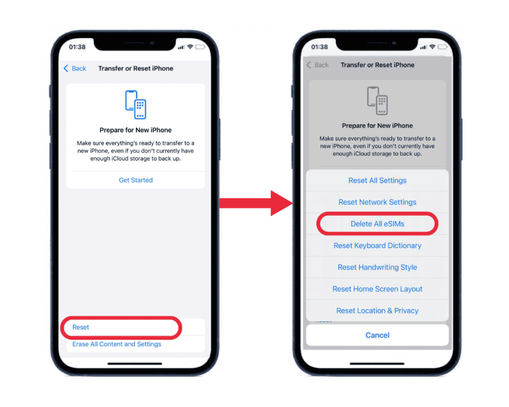 steps delete all eSIMs on iphone